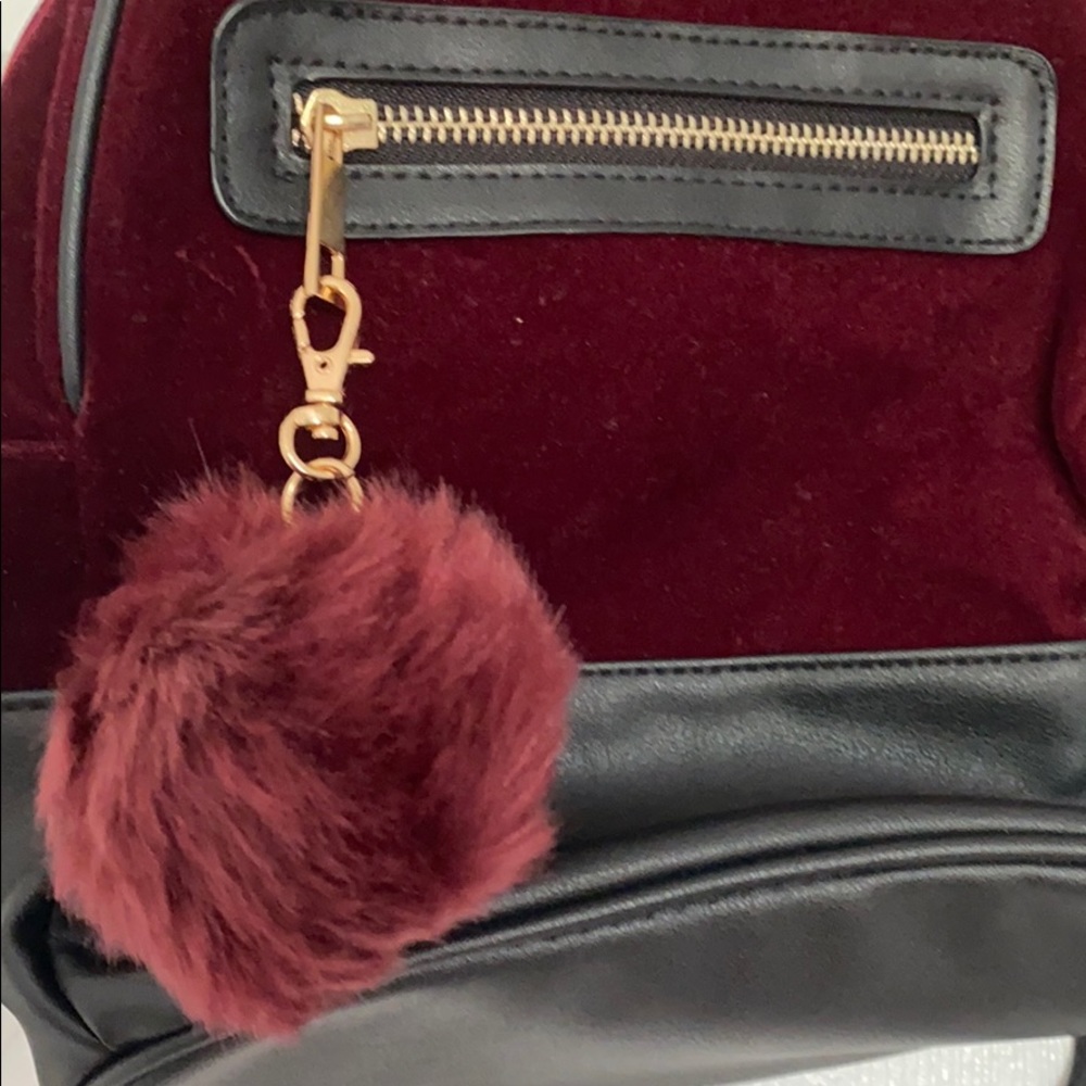 backpack - Picture 2 of 2